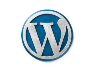 WordPress für Anfänger WP-Logo